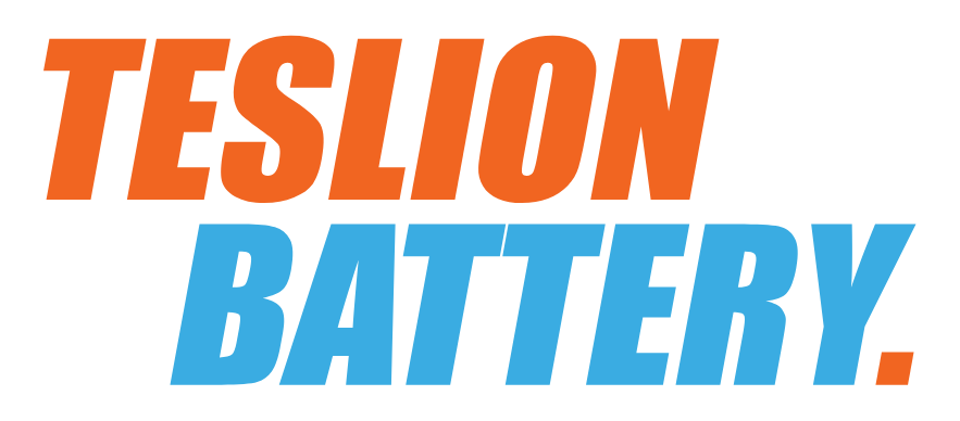 teslionbattery.com